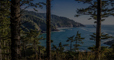 togel OREGON 09:00